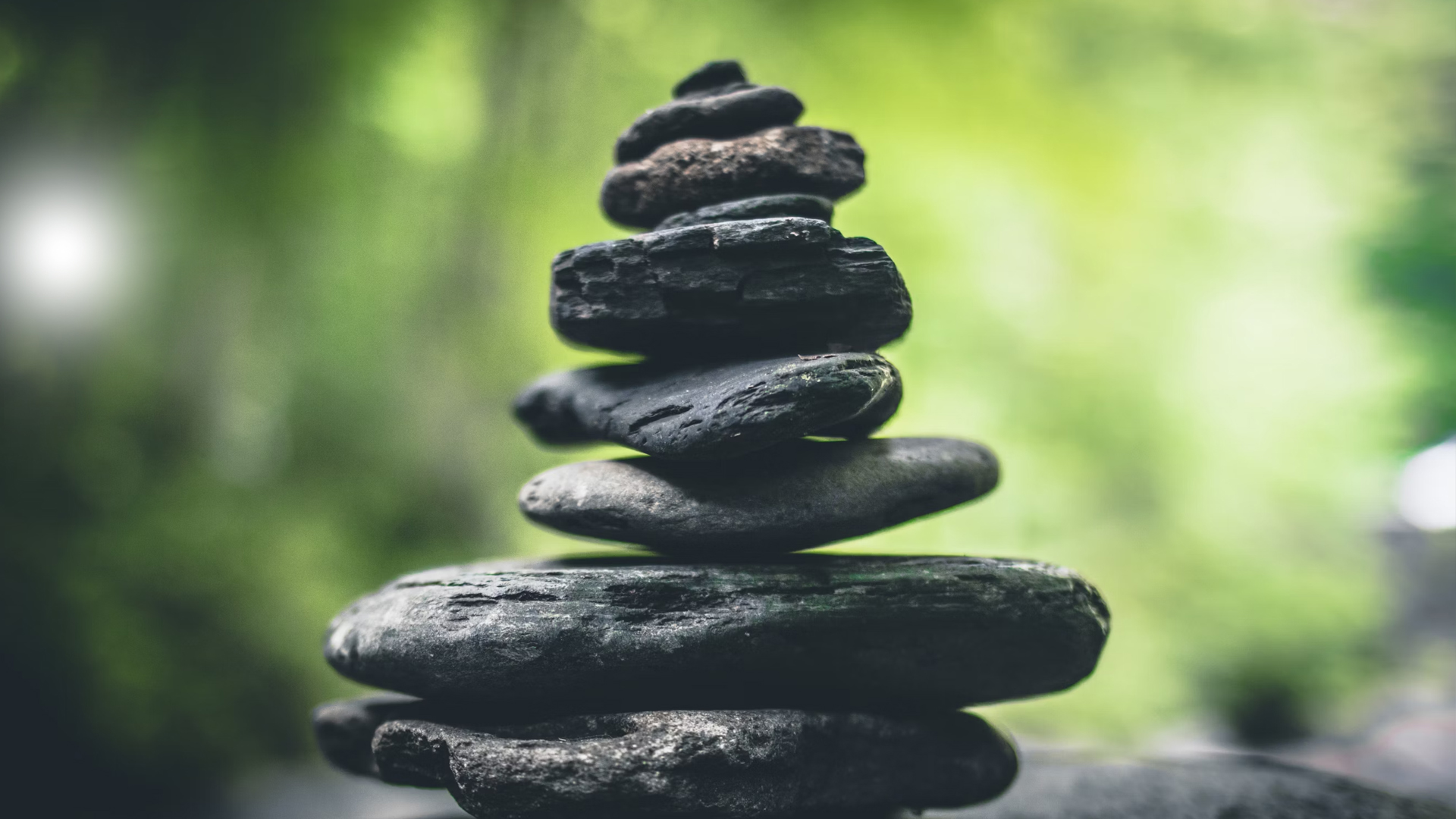 La intersección de la biología y el entorno