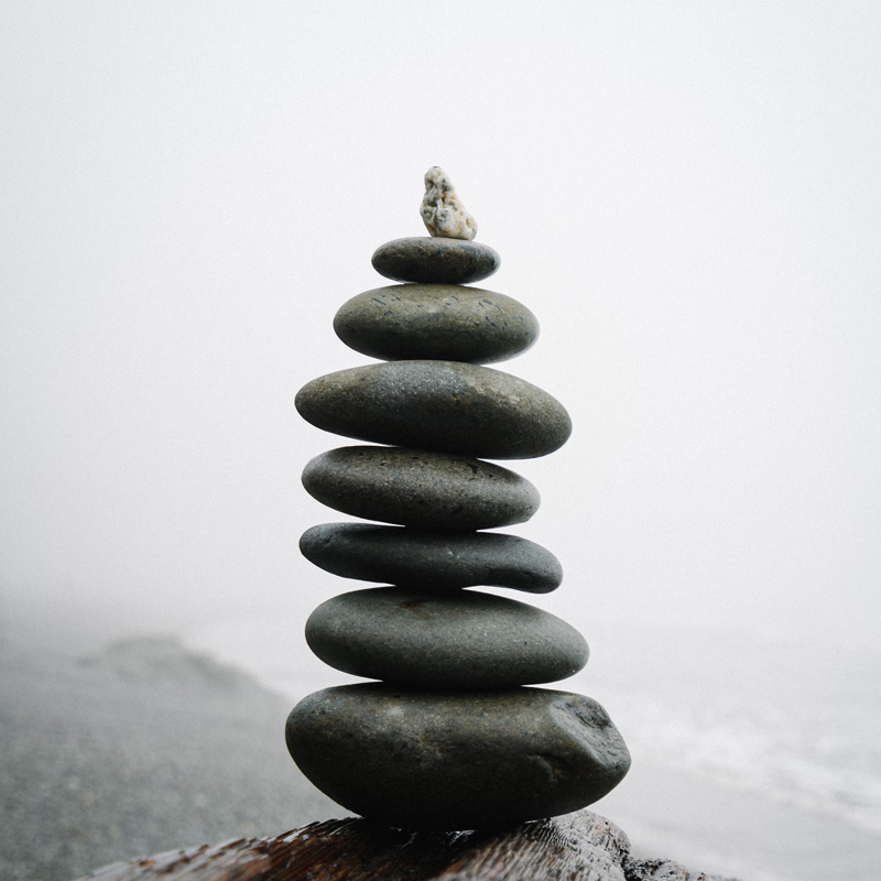  Imagen La intersección de la biología y el entorno noticia